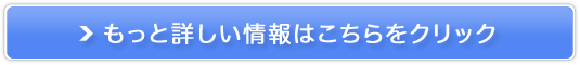 sN̔TCg